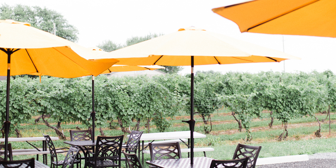 The Harbour Patio at Harbour Estates Winery Wine Country Ontario