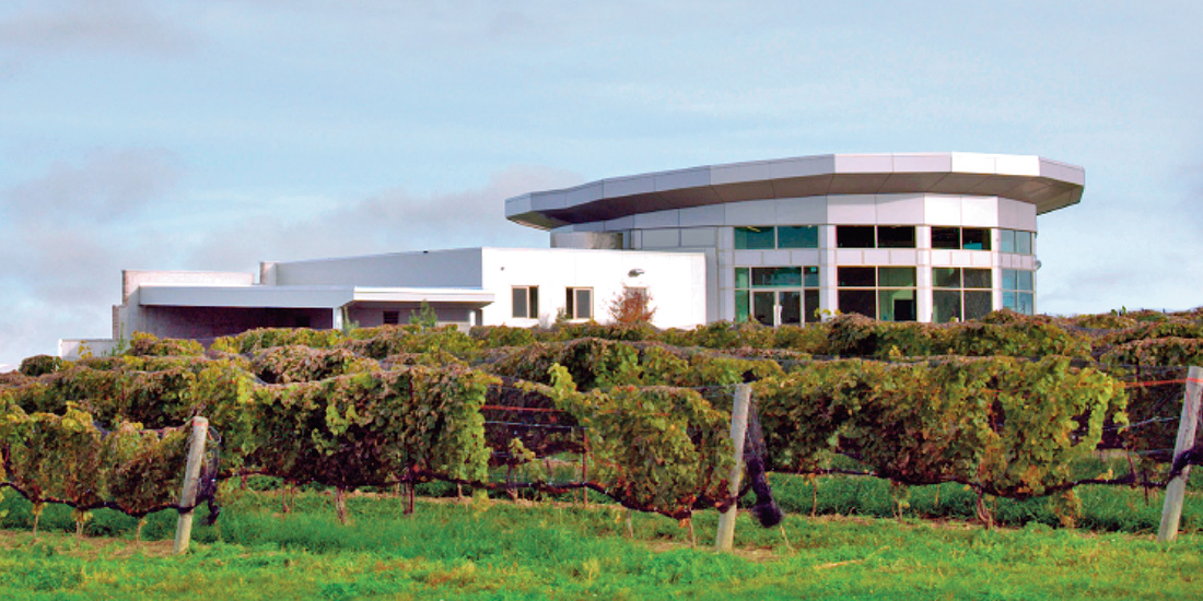 Niagara College Teaching Winery Wine Country Ontario