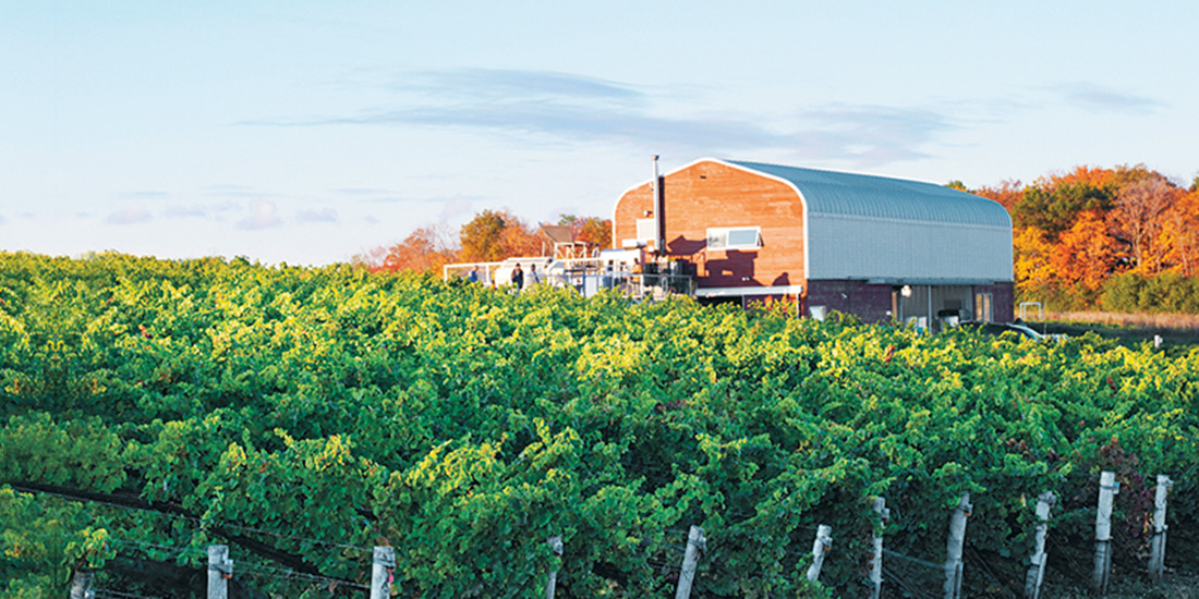 Norman Hardie Winery and Vineyard Wine Country Ontario