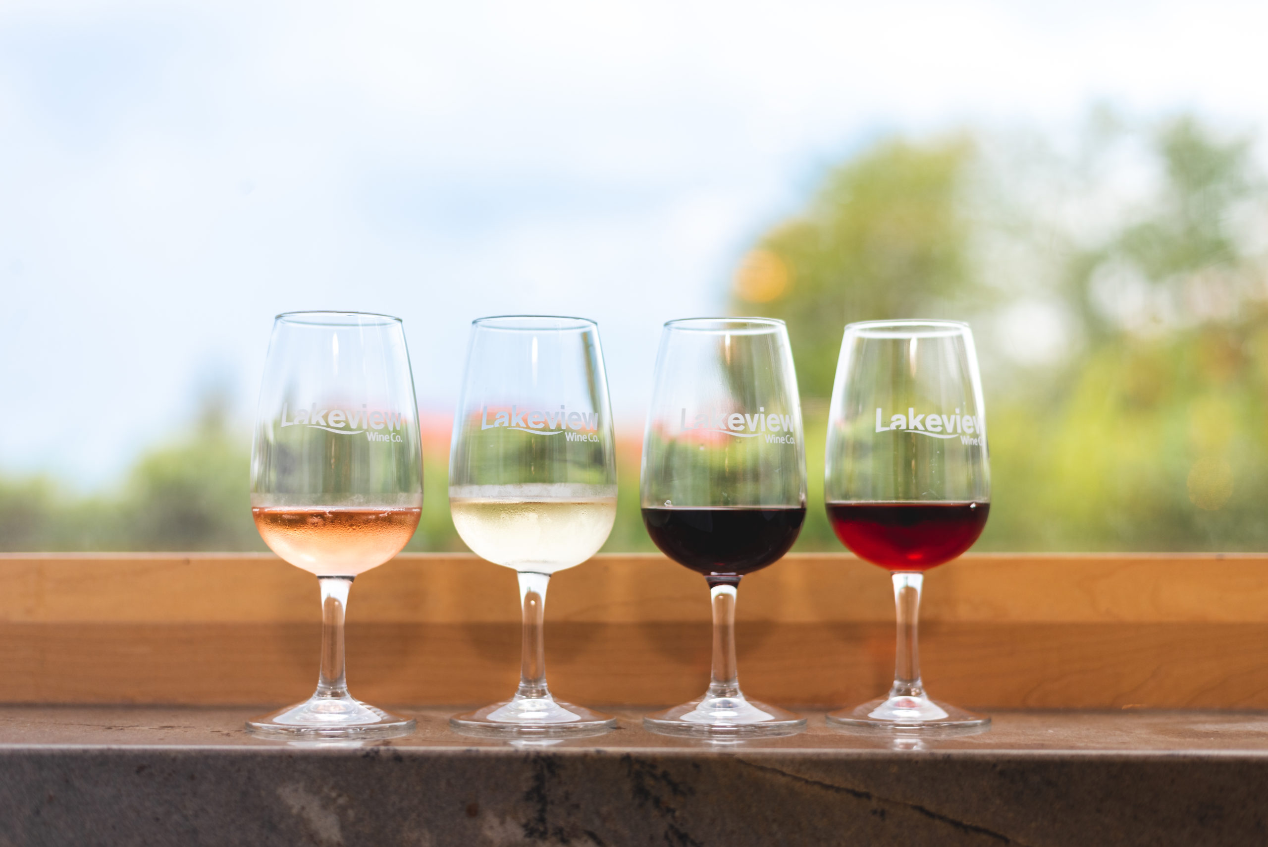 Wine Painting Class Wine Country Ontario