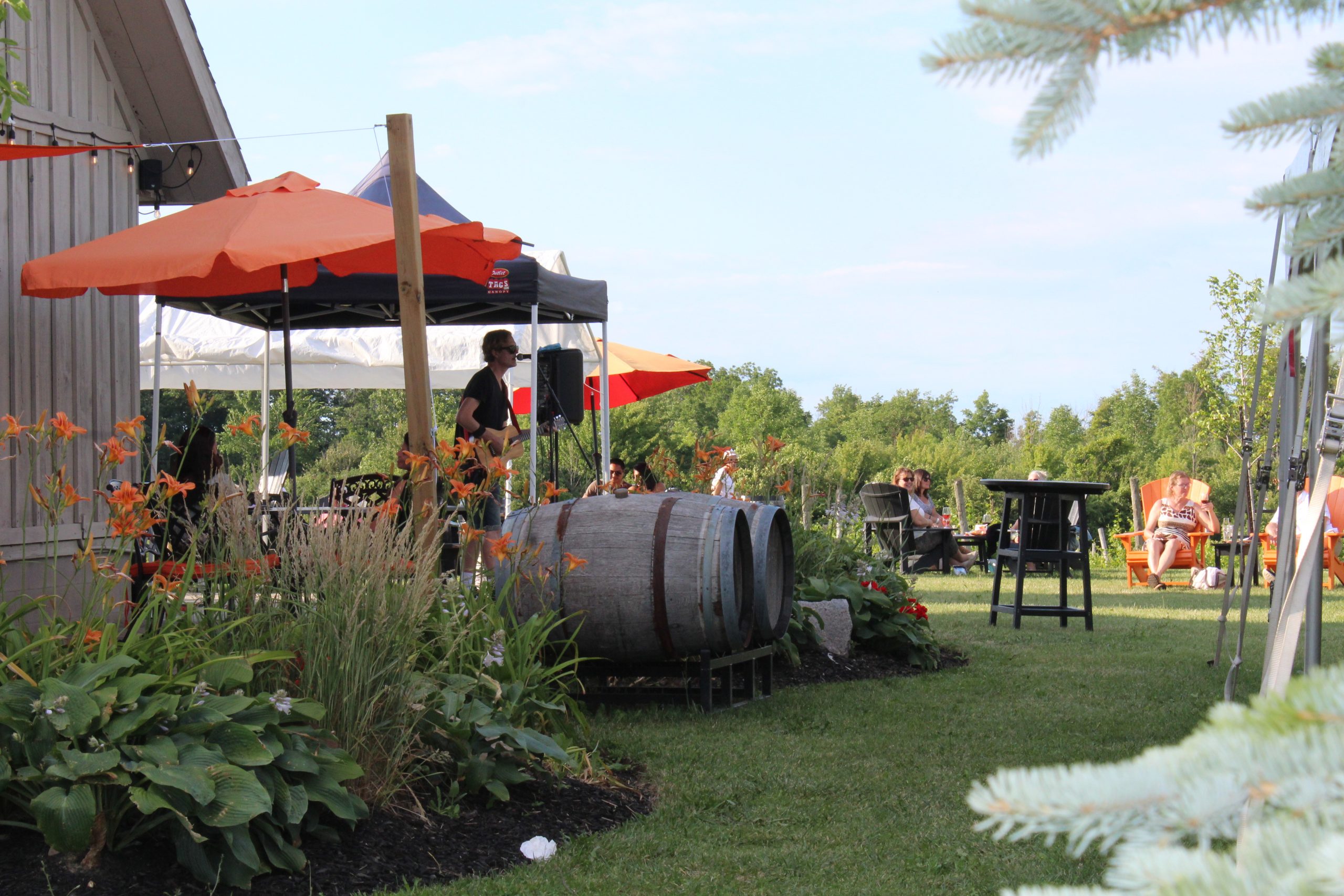 Live Music at Ridge Road Winery