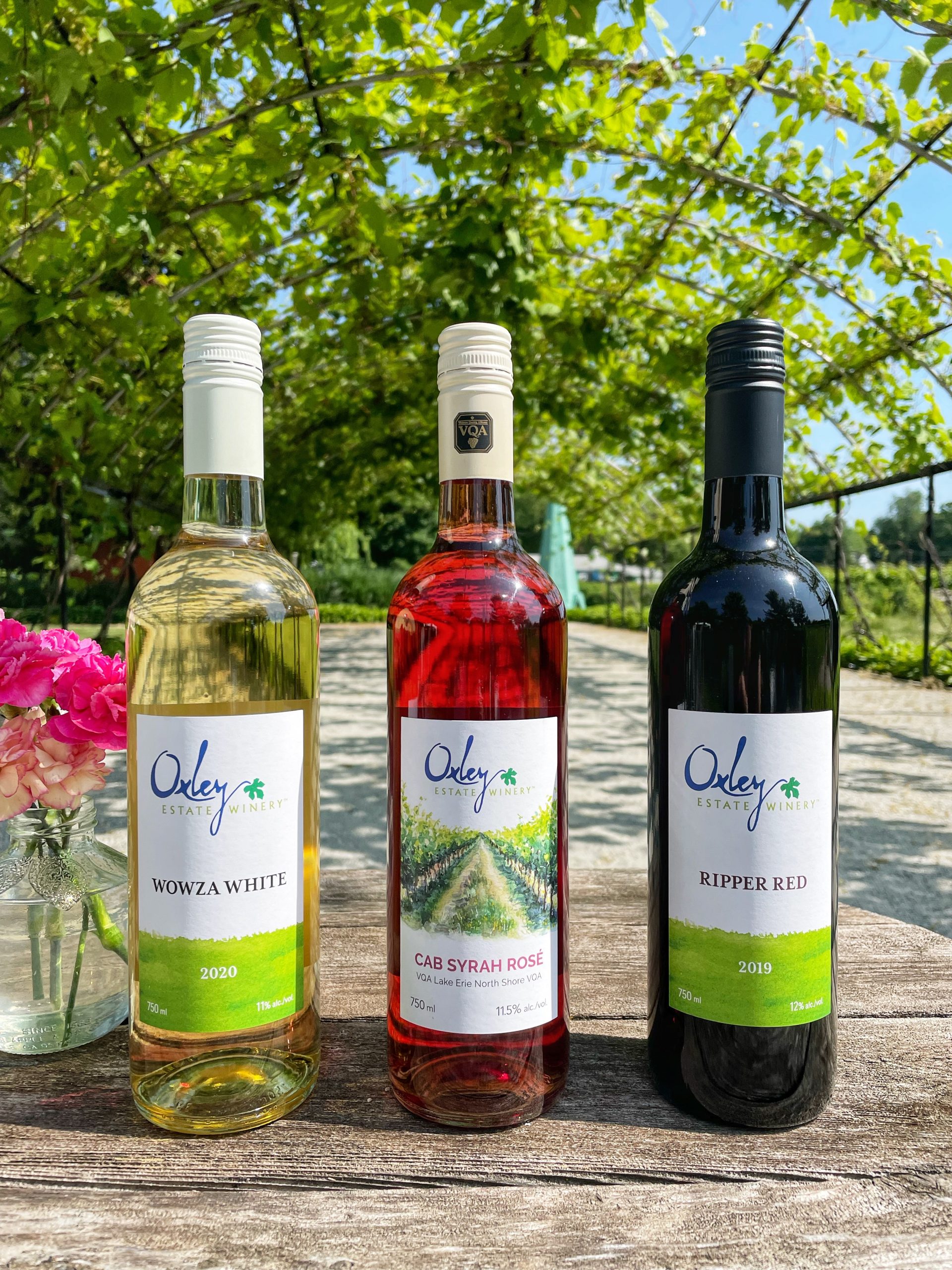 Summertime Case Sale Wine Country Ontario