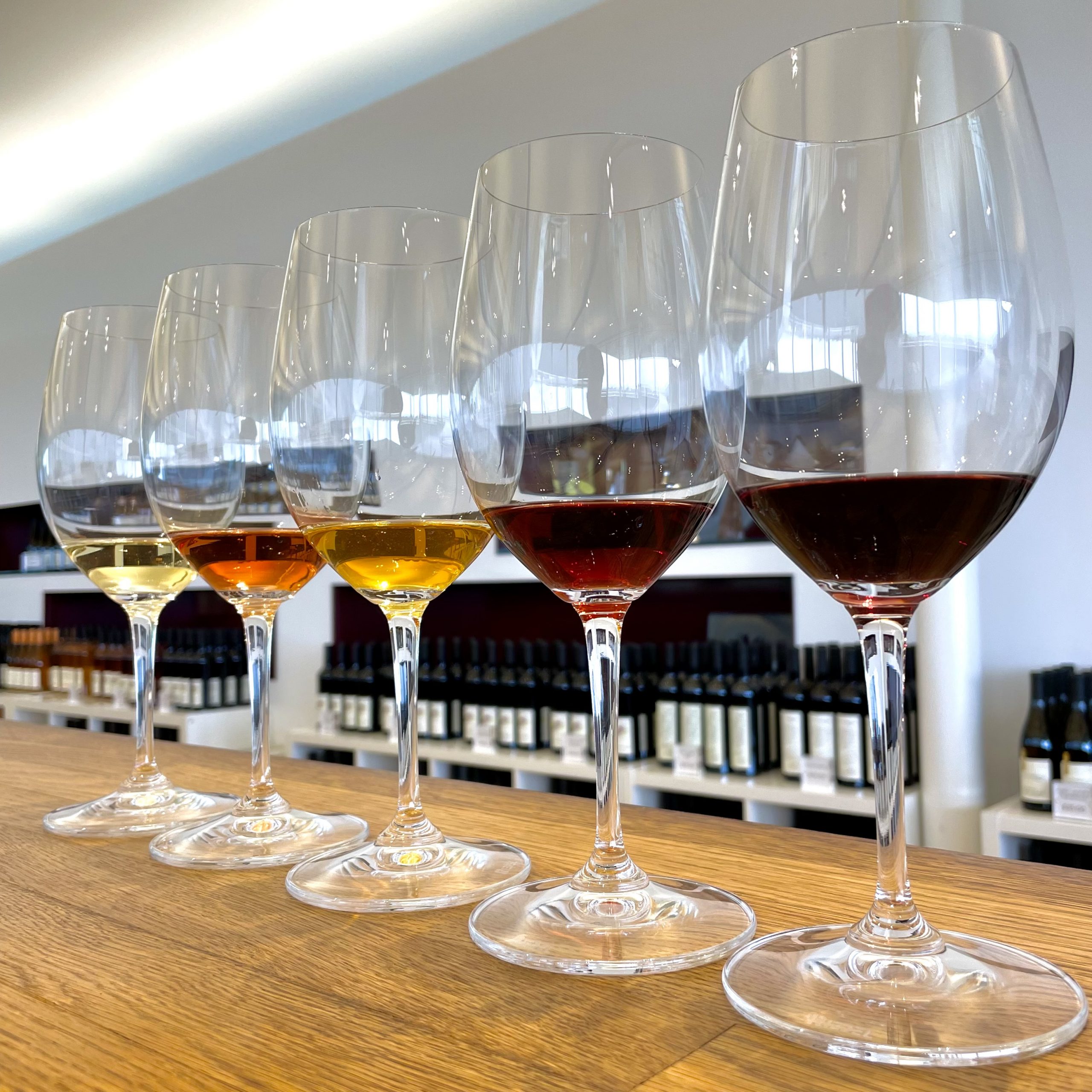 Southbrook Sensory Tasting Wine Country Ontario