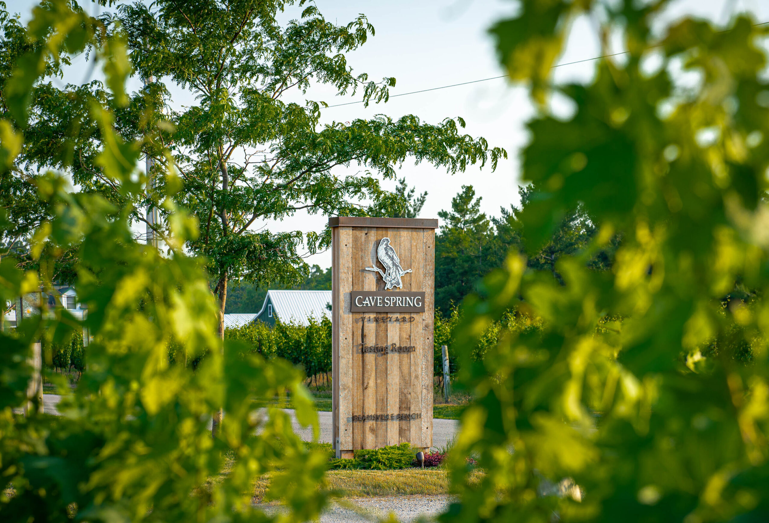 Yoga Retreat Series Wine Country Ontario