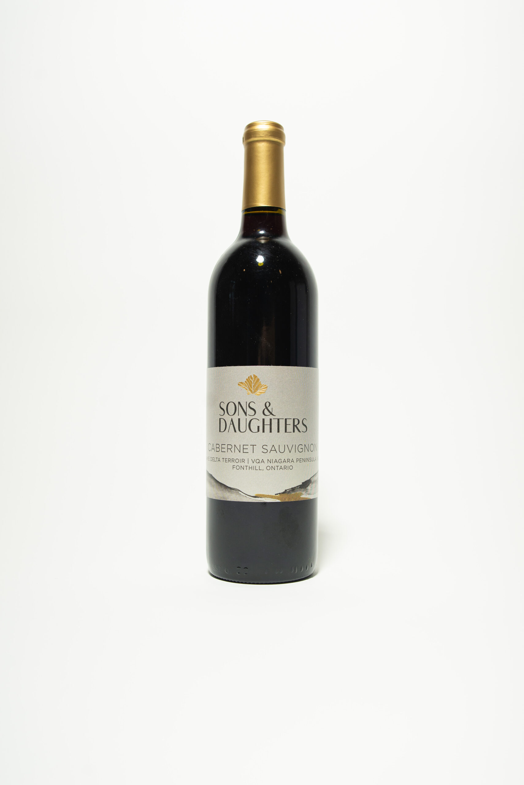 2021 Cabernet Sauvignon - Wine Country Ontario