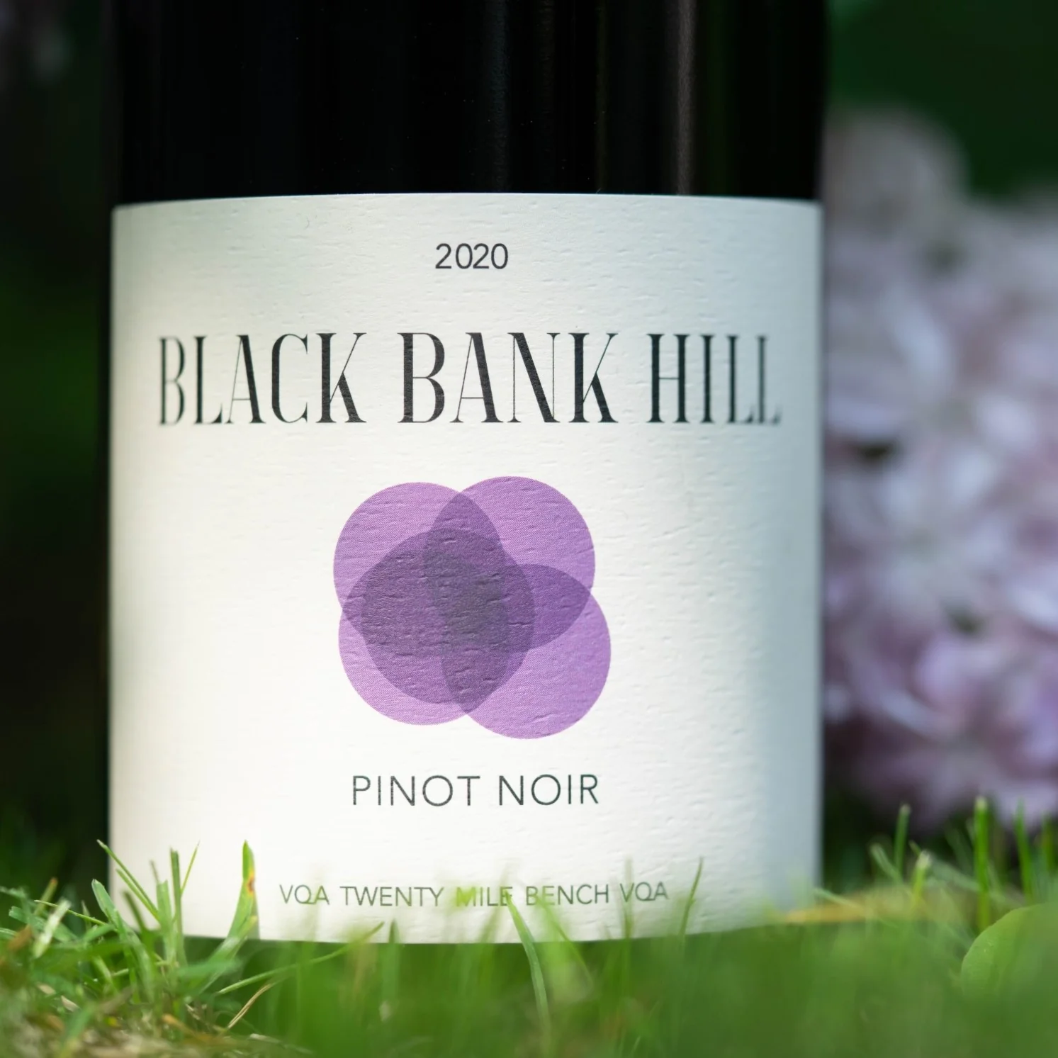 2020 Pinot Noir - Wine Country Ontario