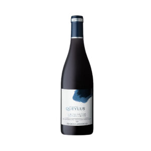 Domaine Queylus 2020 Mountainview Pinot Noir