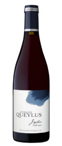 Domaine Queylus 2020 Pinot Noir Signature